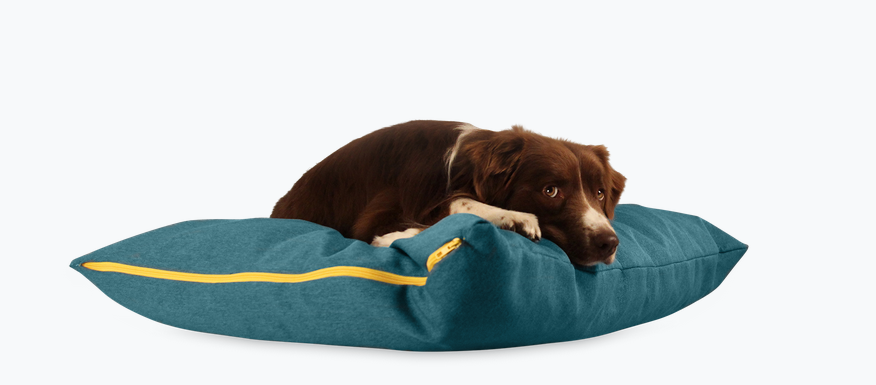 KaiDogsTauGeknüpft by Nina Kaimer